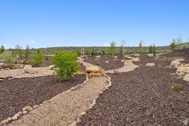 1677 Lambert Ln, Kamas, UT 84036 - view of yard