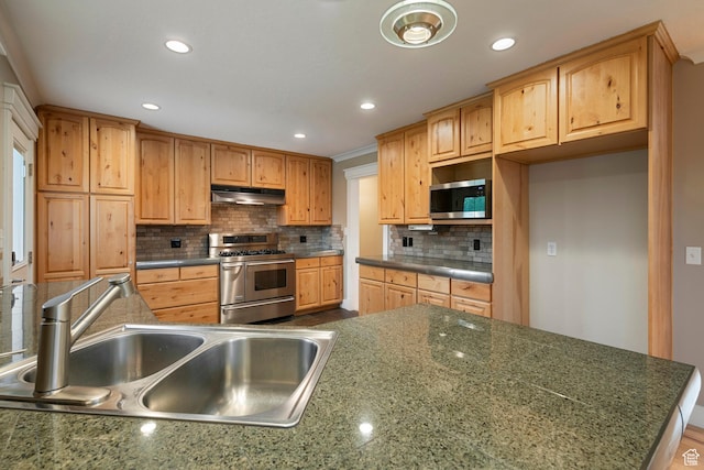 2925 N 220 E, Provo, UT 84604 - kitchen with appliances with stainless steel finishes, under cabinet range hood, a sink, recessed lighting, and tasteful backsplash