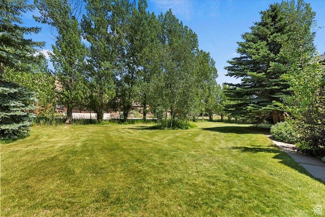 5375 N 3325 E, Eden, UT 84310 - view of grassy yard