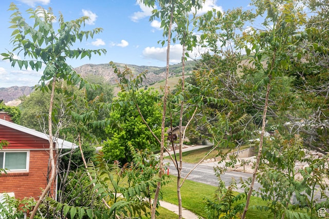 4115 Edgehill Dr, Ogden, UT 84403 - view of mountain background