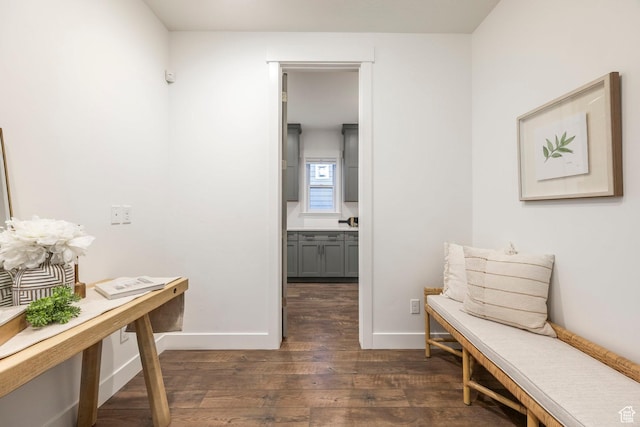 14943 S Auburn Sky Dr Unit 129, Draper, UT 84020 - hallway with dark wood finished floors and baseboards