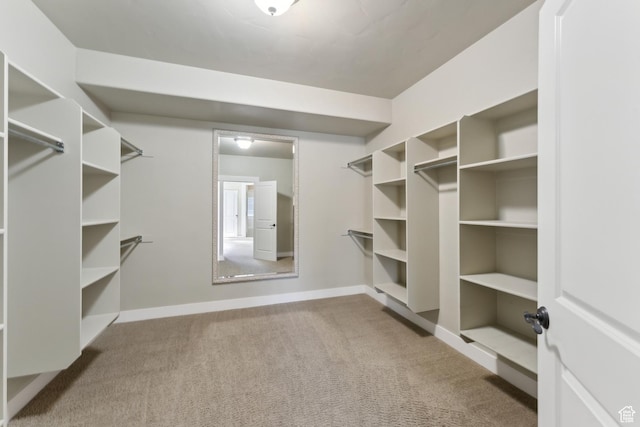 spacious closet featuring carpet floors