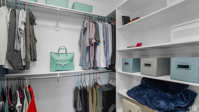 view of spacious closet