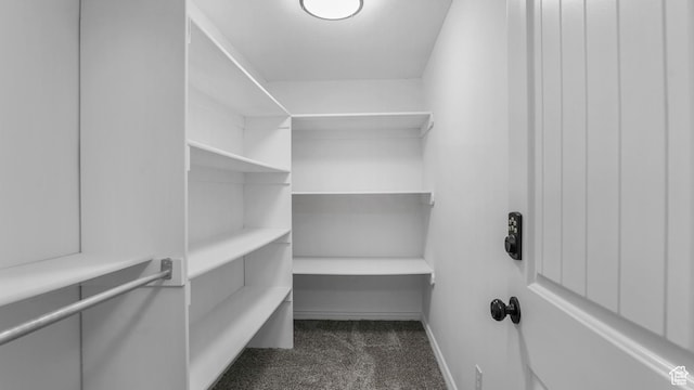 spacious closet featuring dark carpet