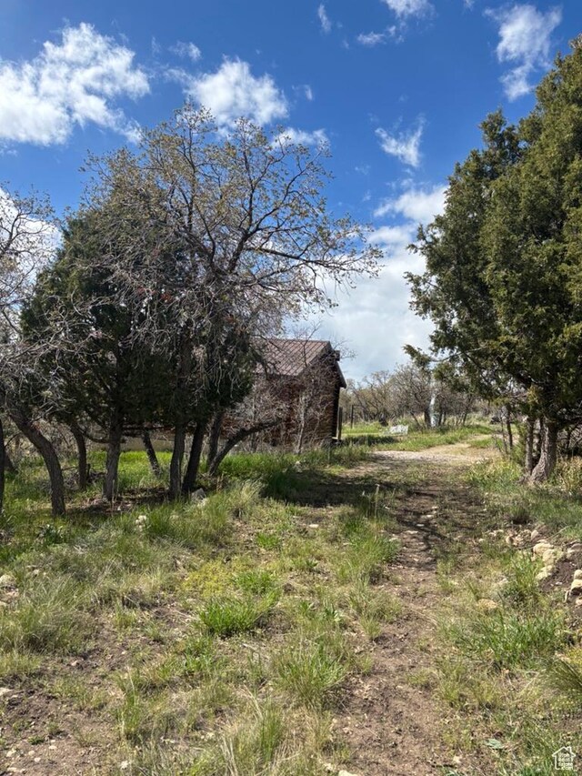 11775 E 14270 N, Mount Pleasant, UT 84647 - view of yard