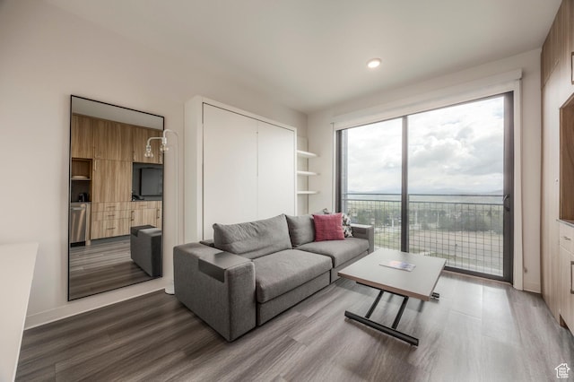 2670 Canyons Resort Dr Unit 331, Park City, UT 84098 - living area with wood finished floors, baseboards, and recessed lighting