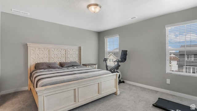 3734 W 2750 N, Lehi, UT 84043 - bedroom with light carpet and baseboards