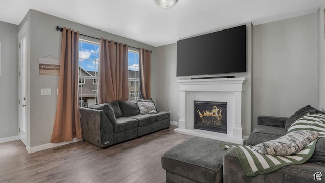 3734 W 2750 N, Lehi, UT 84043 - living room with wood-type flooring, a glass covered fireplace, and baseboards