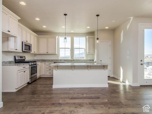 kitchen featuring appliances with stainless steel finishes, plenty of natural light, dark wood-style floors, and recessed lighting