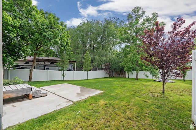 view of yard featuring a patio area