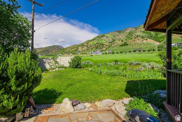 view of yard featuring a mountain view
