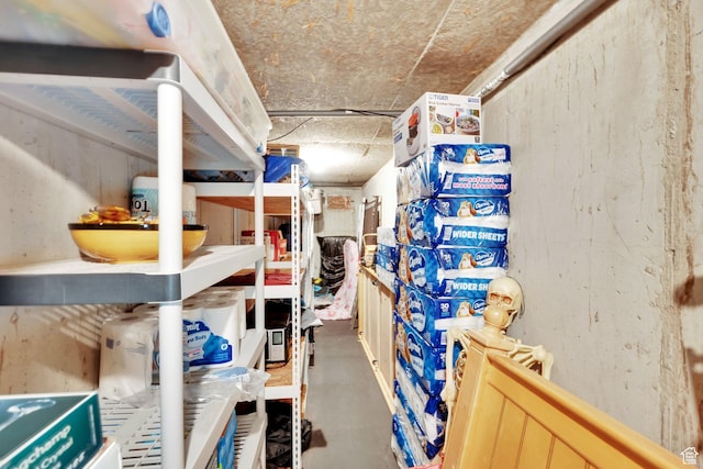 13856 S Cromwell Ln E, Draper, UT 84020 - view of storage room