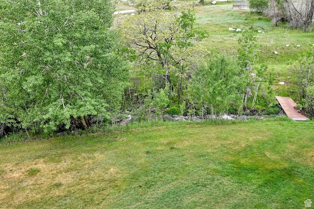 3615 N Wolf Lodge Dr Unit 1109, Eden, UT 84310 - view of yard
