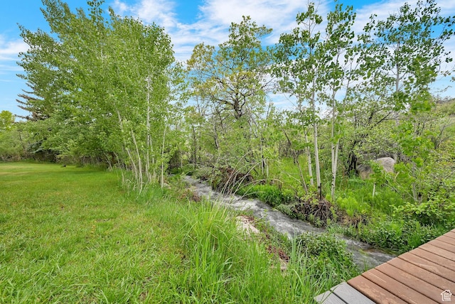 3615 N Wolf Lodge Dr Unit 1109, Eden, UT 84310 - view of green lawn