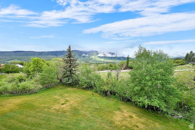 3615 N Wolf Lodge Dr Unit 1109, Eden, UT 84310 - view of green lawn with a mountain view