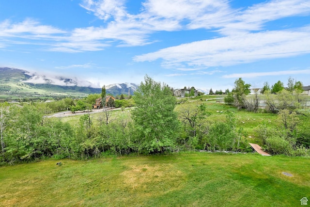 3615 N Wolf Lodge Dr Unit 1109, Eden, UT 84310 - view of yard featuring a mountain view