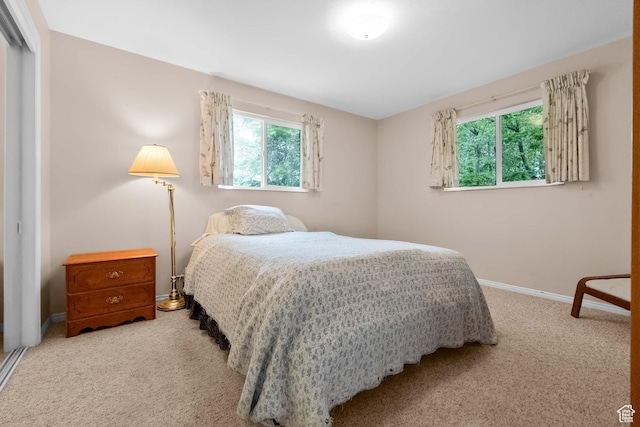 bedroom featuring carpet, baseboards, and a closet