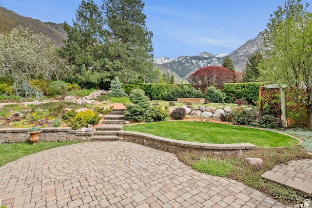 view of grassy yard with a mountain view and a patio