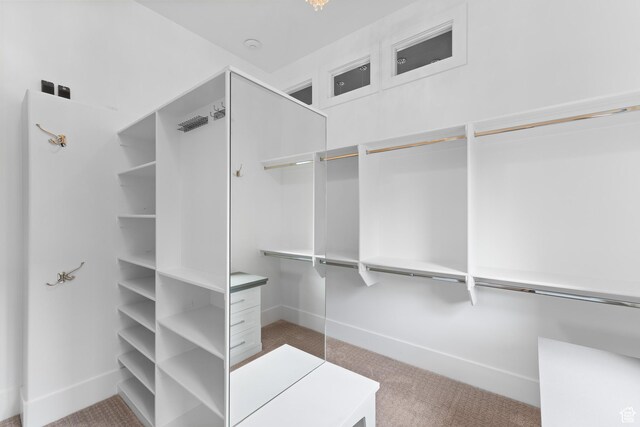 1769 View Ct, Fruit Heights, UT 84037 - spacious closet featuring carpet floors