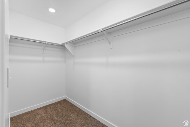walk in closet featuring dark colored carpet