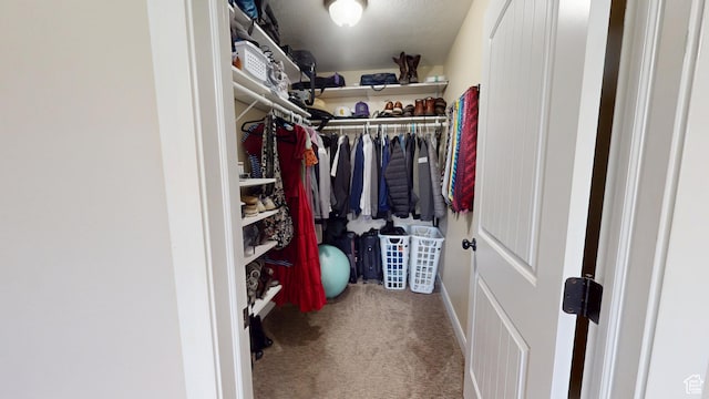 spacious closet with carpet