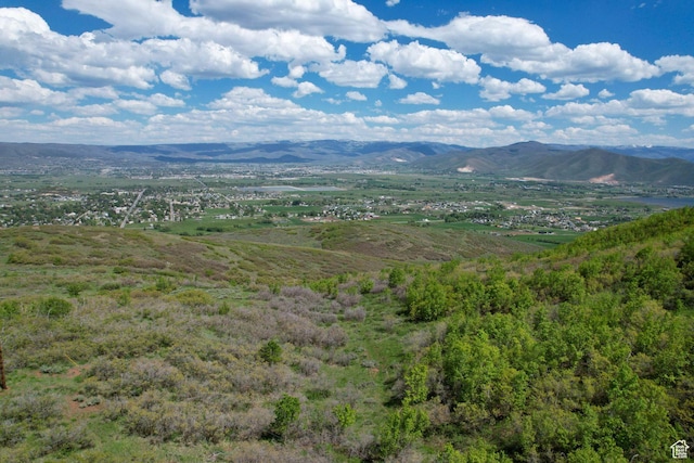 Unit 81, Midway, UT 84049 - photo 4