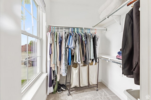 2119 W 12190 S, Riverton, UT 84065 - walk in closet featuring carpet