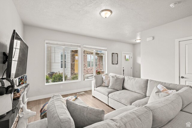living room with wood finished floors, baseboards, and a textured ceiling