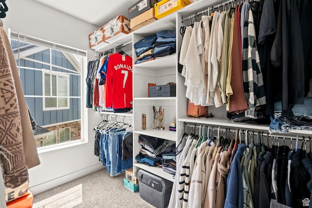 walk in closet with carpet floors