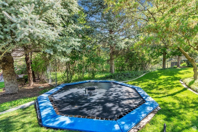 575 S 1560 E, Mapleton, UT 84664 - view of swimming pool featuring a trampoline and a lawn