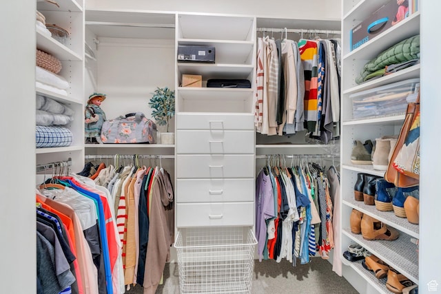 575 S 1560 E, Mapleton, UT 84664 - view of spacious closet