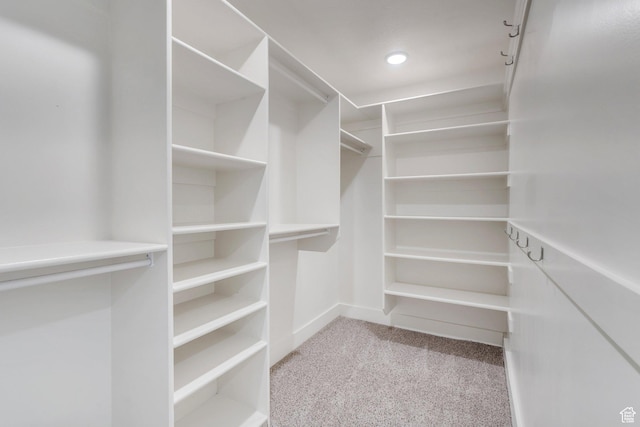 575 S 1560 E, Mapleton, UT 84664 - walk in closet featuring carpet floors