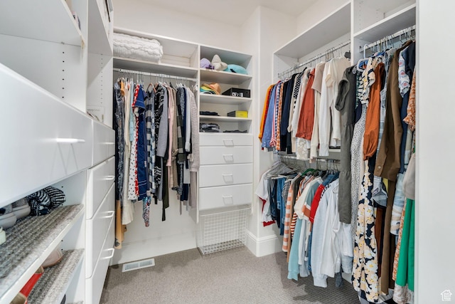 575 S 1560 E, Mapleton, UT 84664 - spacious closet featuring carpet flooring