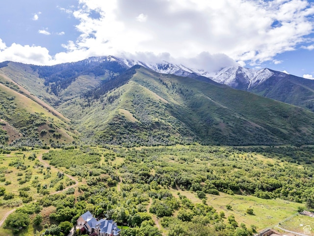 575 S 1560 E, Mapleton, UT 84664 - mountain view