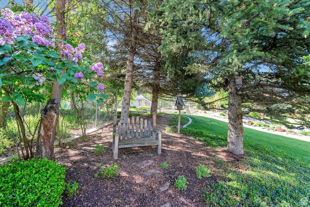 575 S 1560 E, Mapleton, UT 84664 - view of grassy yard