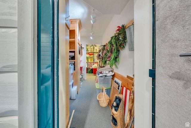 575 S 1560 E, Mapleton, UT 84664 - corridor with rail lighting and carpet floors