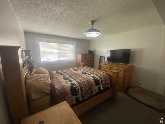 250 W 100 S, Duchesne, UT 84021 - bedroom featuring a textured ceiling and carpet floors