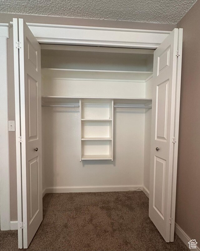250 W 100 S, Duchesne, UT 84021 - view of closet