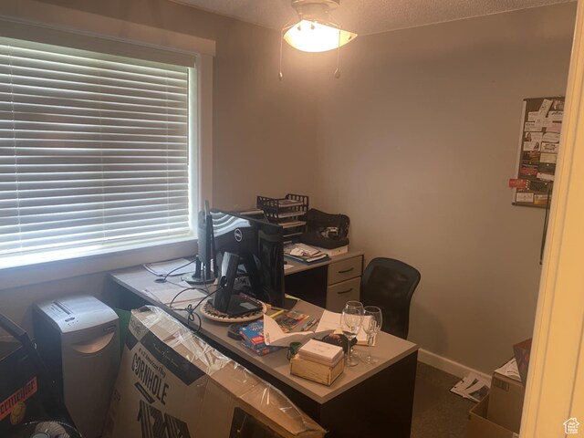 250 W 100 S, Duchesne, UT 84021 - view of office space