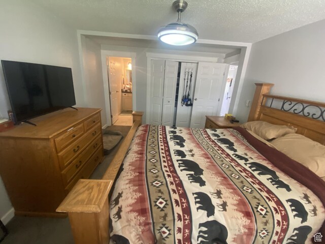 250 W 100 S, Duchesne, UT 84021 - bedroom with a textured ceiling and a closet