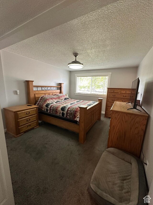 250 W 100 S, Duchesne, UT 84021 - bedroom featuring dark colored carpet and a textured ceiling