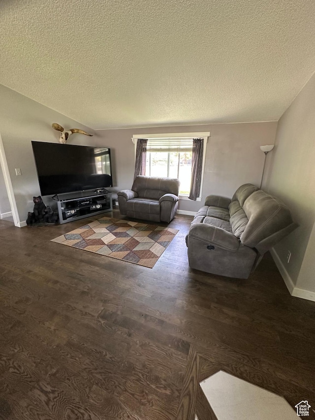 250 W 100 S, Duchesne, UT 84021 - living room featuring a textured ceiling, wood finished floors, and baseboards
