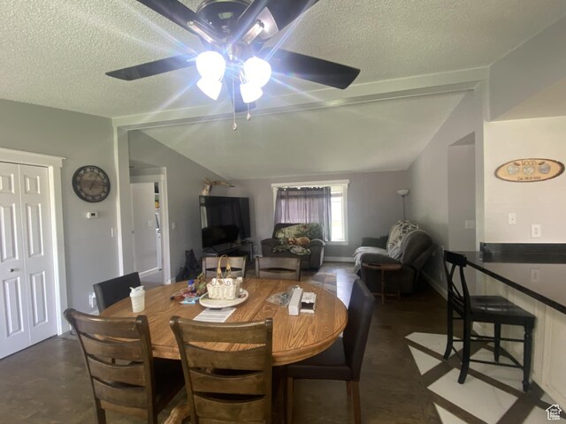 250 W 100 S, Duchesne, UT 84021 - dining room with ceiling fan, lofted ceiling, and a textured ceiling
