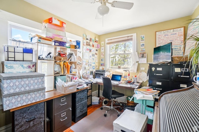office featuring a ceiling fan and wood finished floors