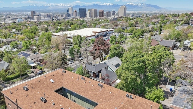 bird's eye view of a mountainous background