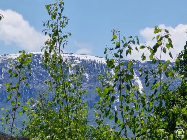 834 N Sapphire St, Morgan, UT 84050 - view of mountain backdrop