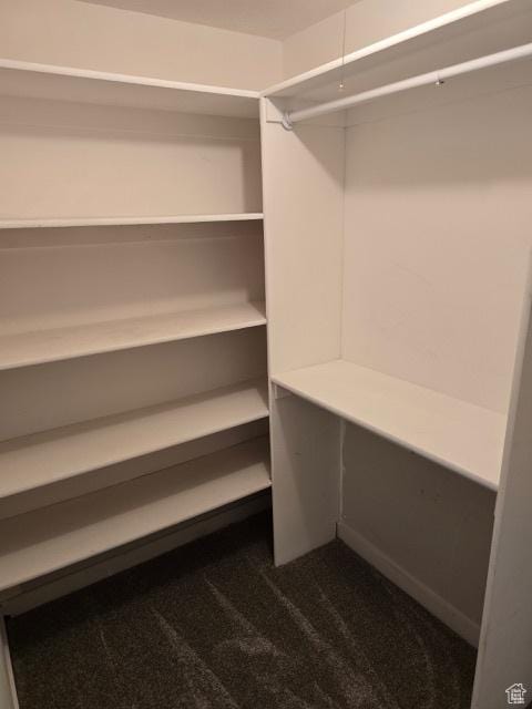 834 N Sapphire St, Morgan, UT 84050 - walk in closet with dark carpet