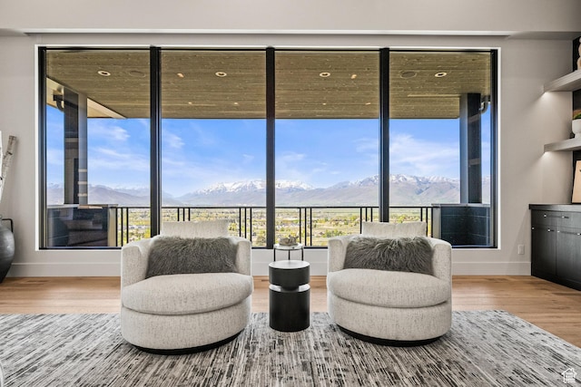 living area featuring a mountain view, baseboards, and wood finished floors
