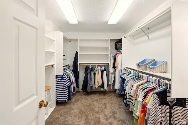 walk in closet featuring carpet