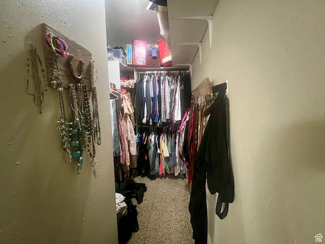 465 E Kings Ln, Green River, UT 84525 - walk in closet featuring carpet flooring